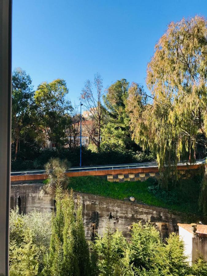 Appartement Ilios Cannes 勒卡内 外观 照片